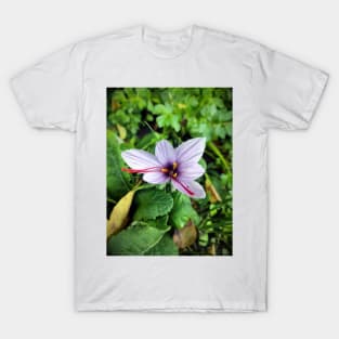 Saffron Blossom T-Shirt